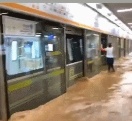 1626863899540280rJdf.gif